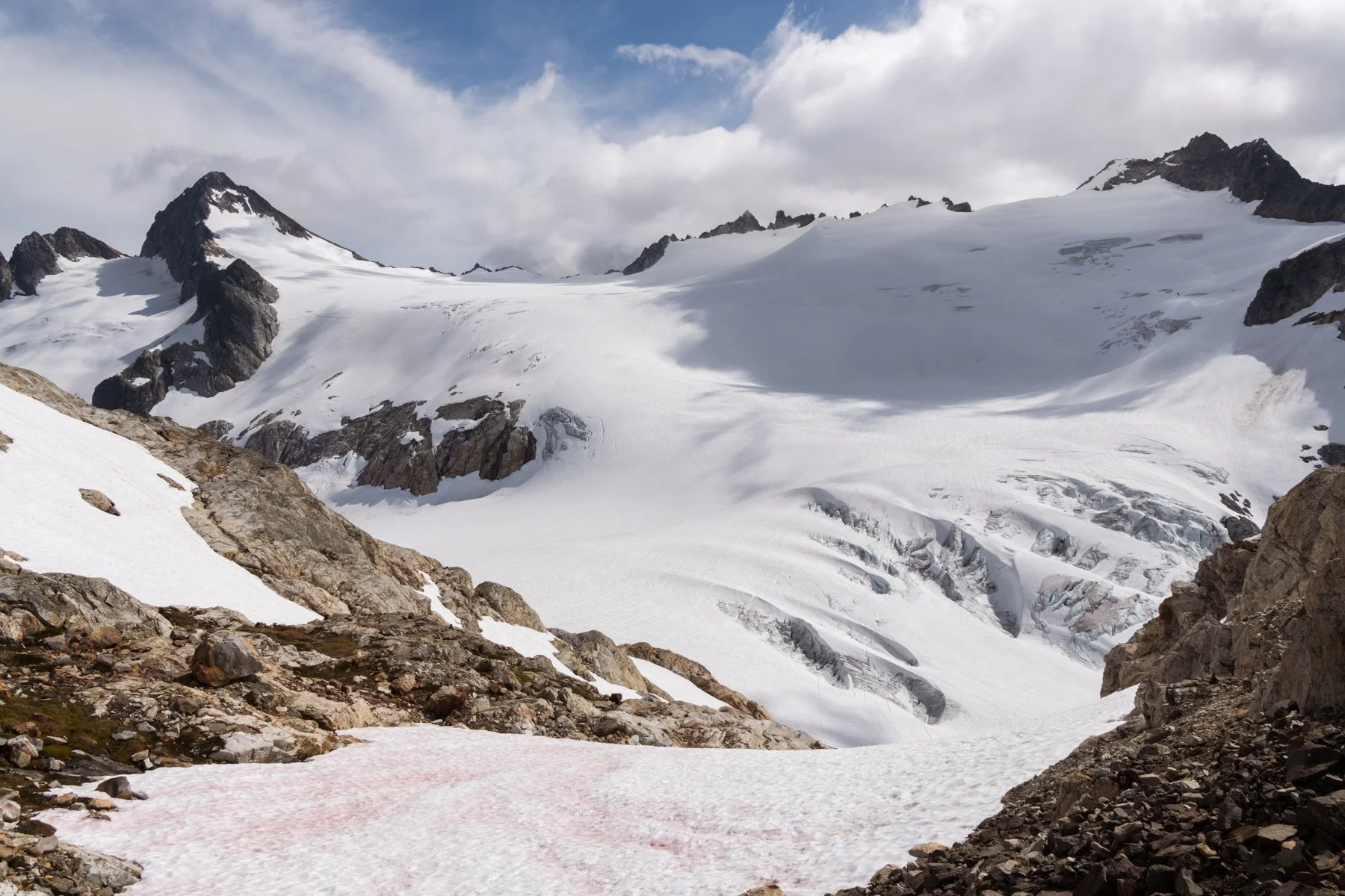 The Elusive Snowfield Peak — Sonja Saxe